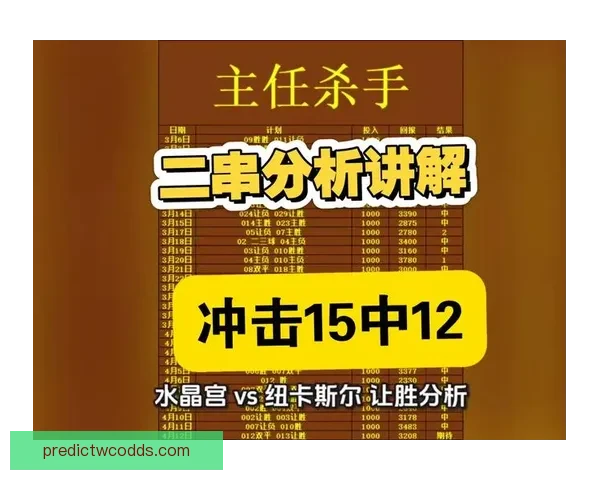 精准数据解析助力胜率提升的足球赛事竞猜策略揭秘